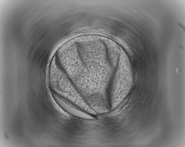 X0000097841528200804111051