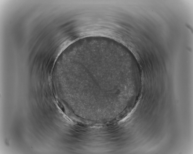 X0000097841529200804111051