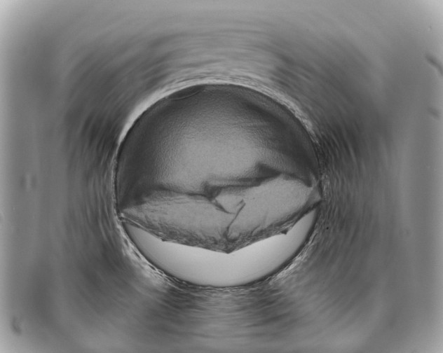 X0000097841530200804111051