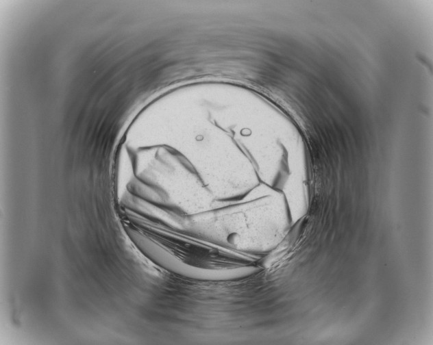 X0000097841532200804111051