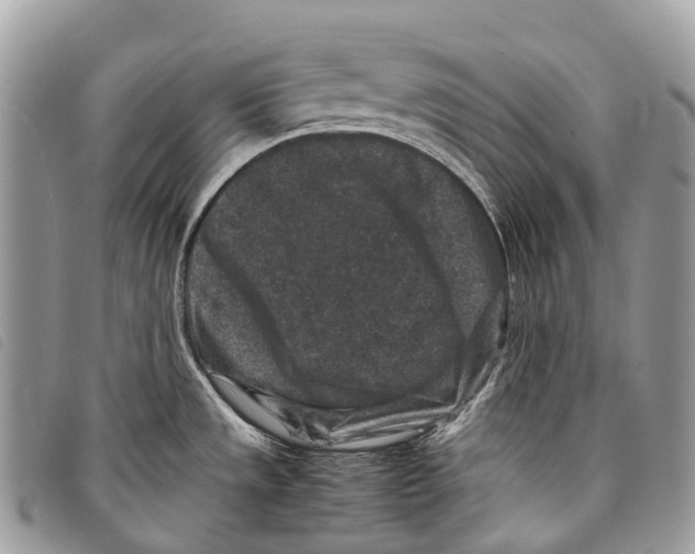 X0000097841533200804111051