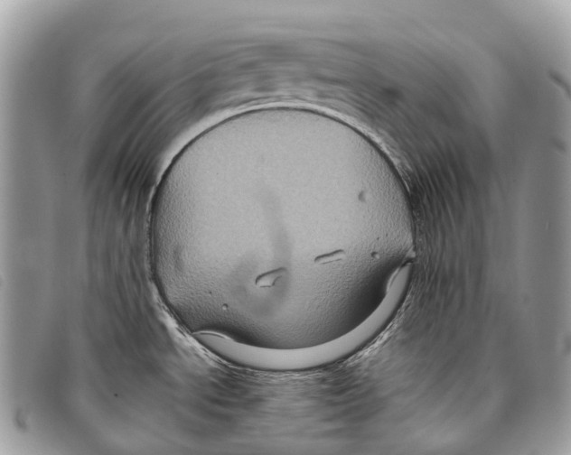 X0000097841534200804111051