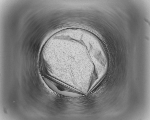 X0000097841536200804111051