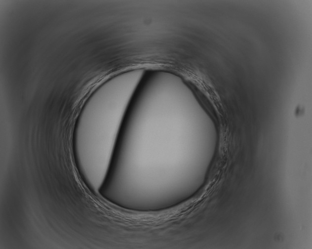 X0000097850001200803140907
