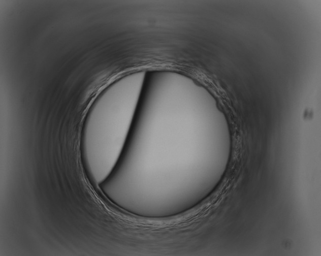 X0000097850002200803140907