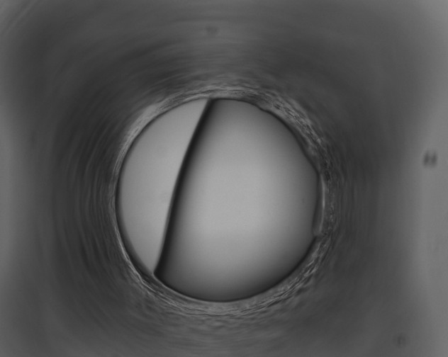 X0000097850003200803140907
