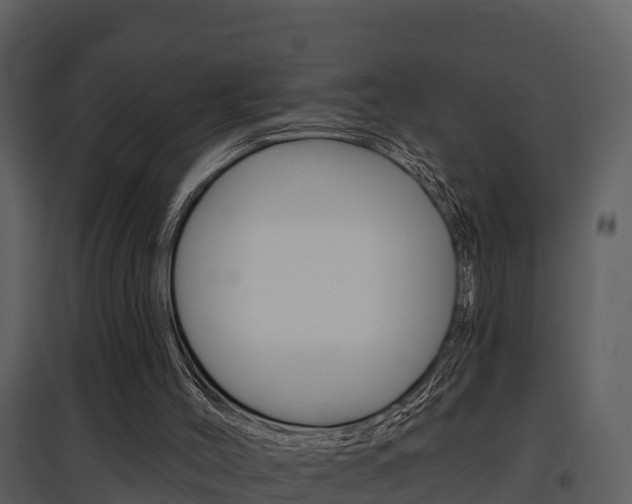 X0000097850004200803140907