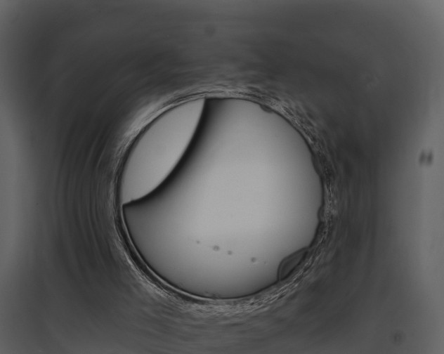 X0000097850005200803140907