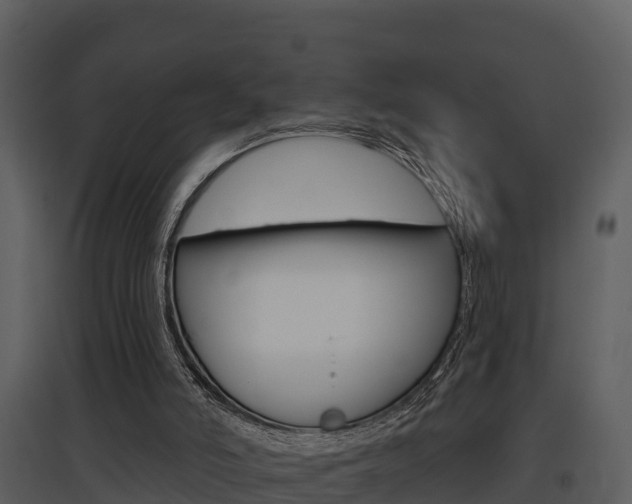 X0000097850006200803140907