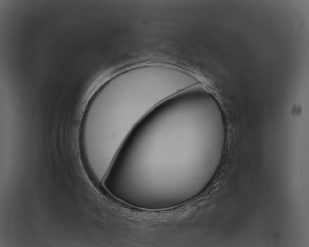 X0000097850007200803140907