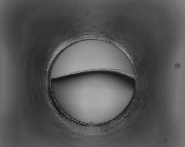 X0000097850008200803140907