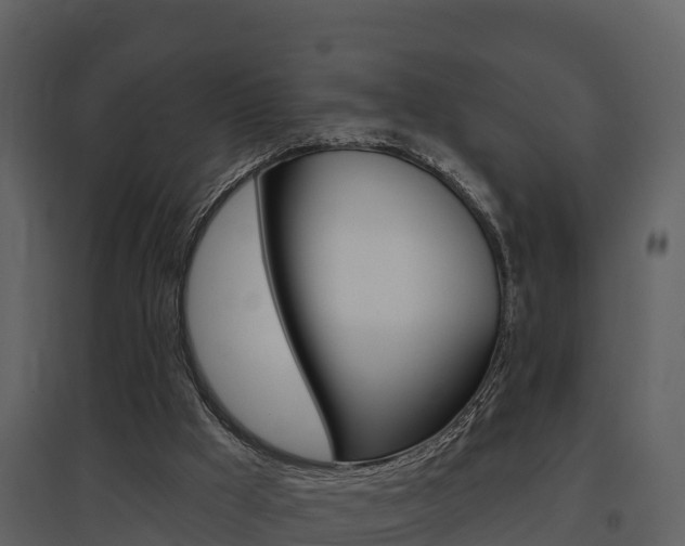 X0000097850009200803140907