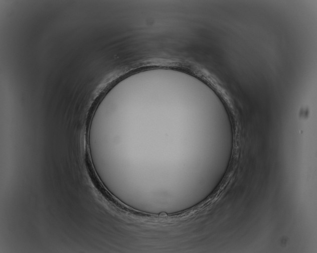 X0000097850011200803140907