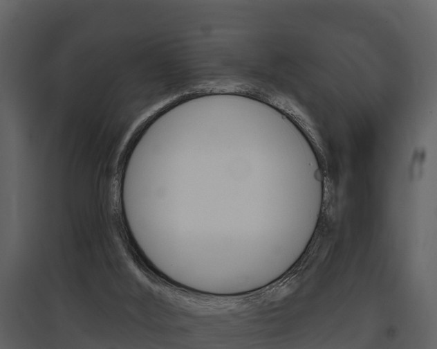 X0000097850012200803140907