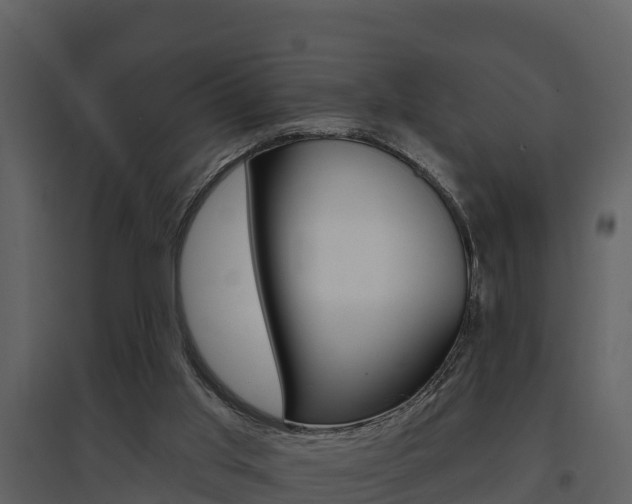 X0000097850013200803140907