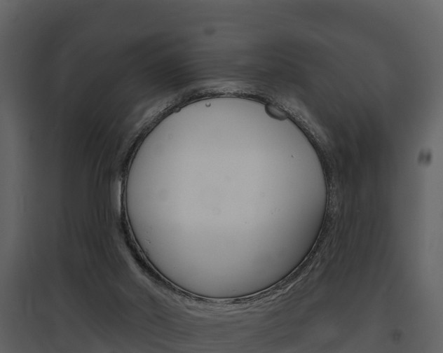 X0000097850014200803140907