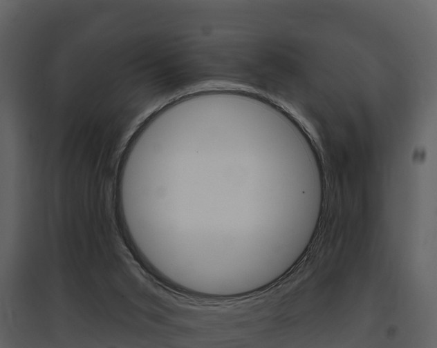 X0000097850015200803140907