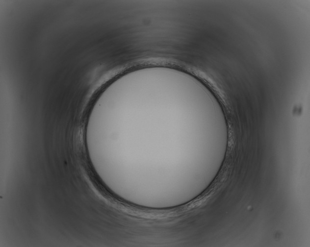 X0000097850016200803140907