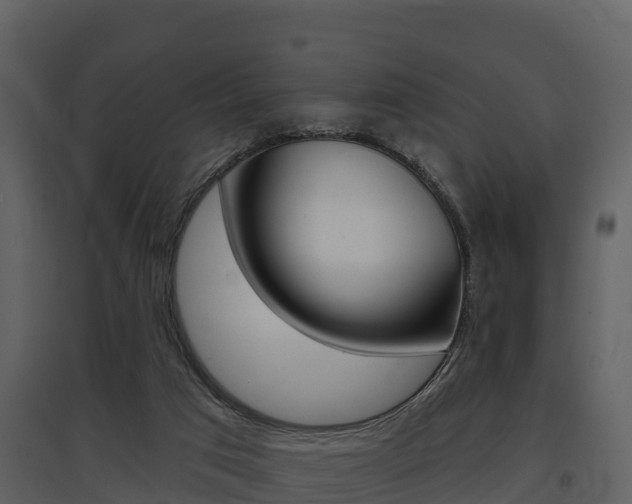 X0000097850017200803140907