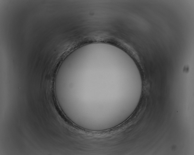 X0000097850018200803140907