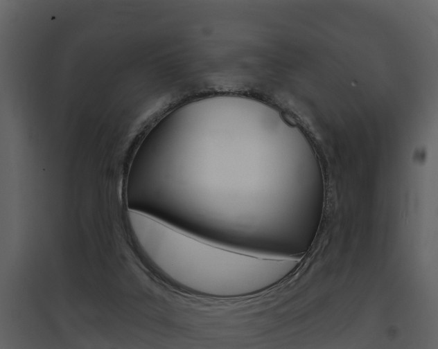 X0000097850019200803140907
