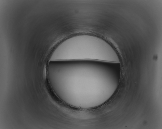X0000097850020200803140907
