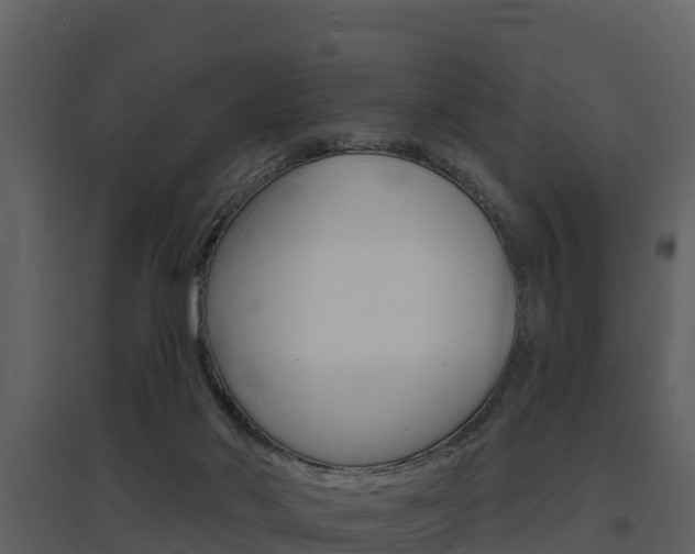 X0000097850022200803140907