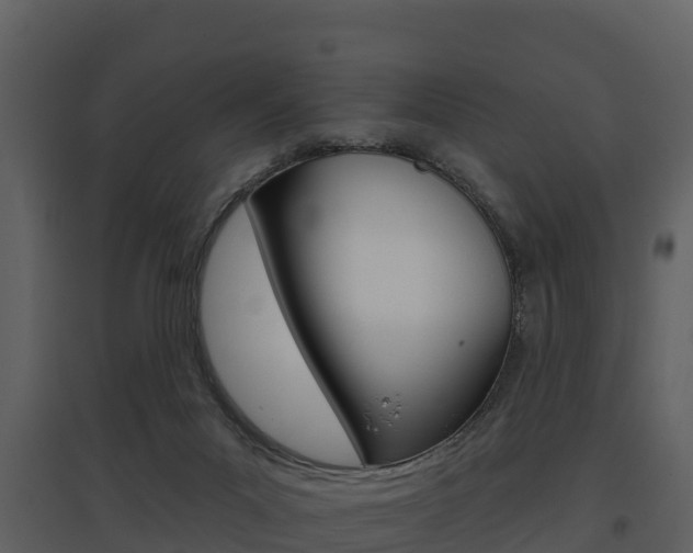 X0000097850023200803140907