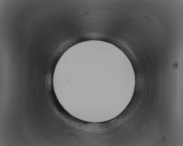 X0000097850024200803140907