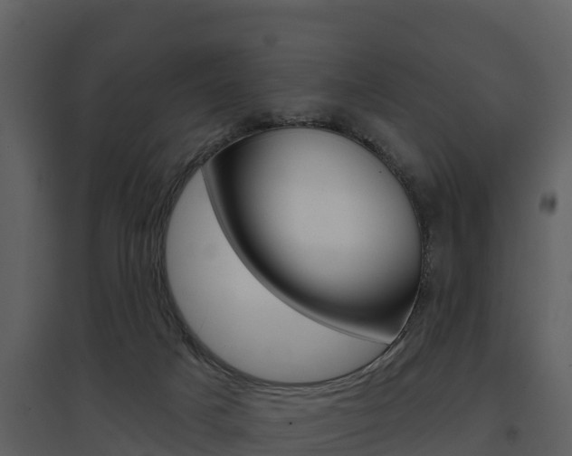 X0000097850025200803140907