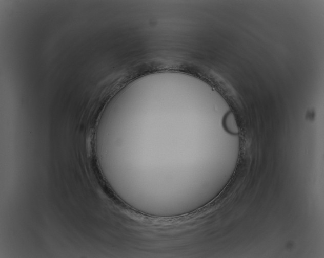 X0000097850026200803140907