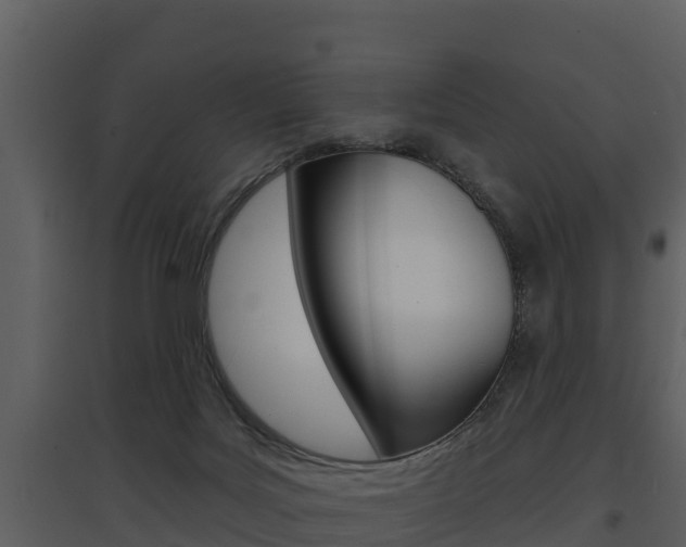 X0000097850027200803140907