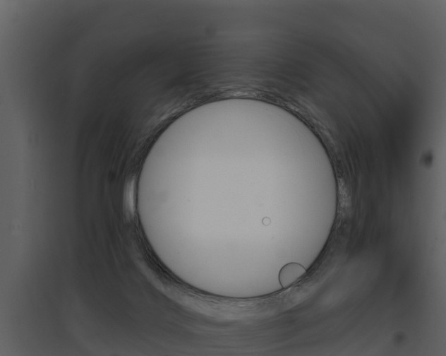 X0000097850028200803140907