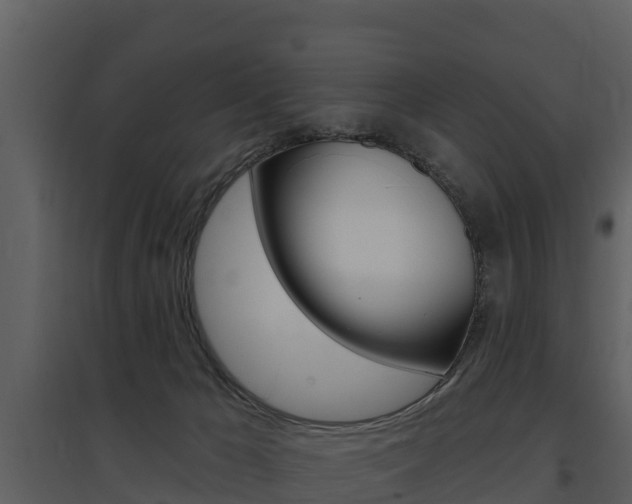 X0000097850029200803140907
