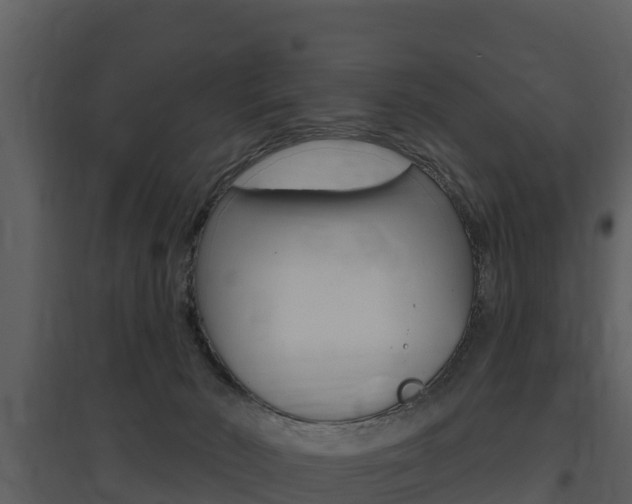 X0000097850030200803140907