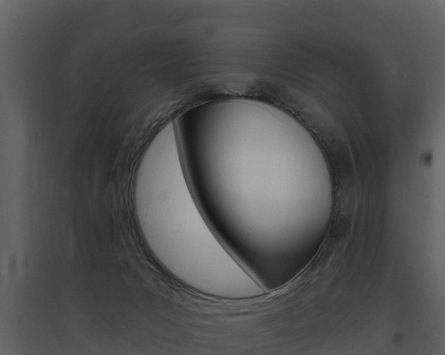 X0000097850031200803140907