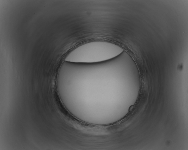 X0000097850032200803140907