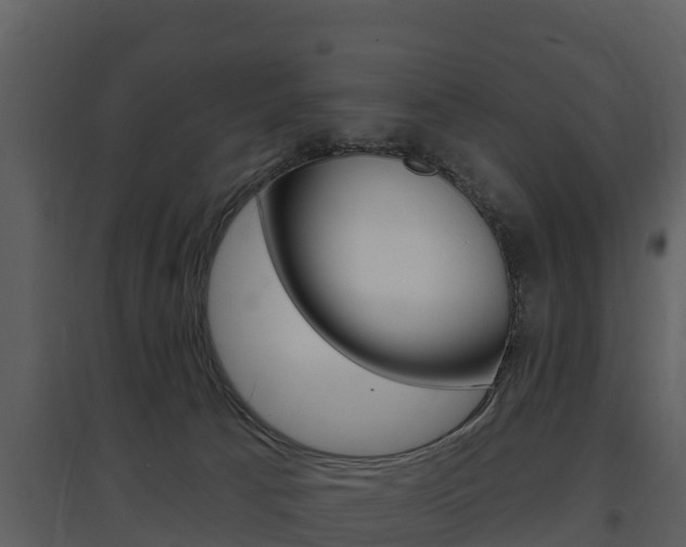 X0000097850033200803140907