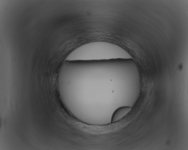 X0000097850034200803140907