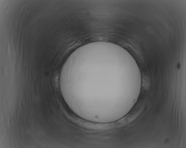X0000097850036200803140907