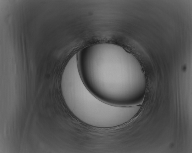 X0000097850037200803140907