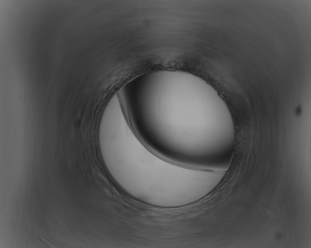 X0000097850039200803140907