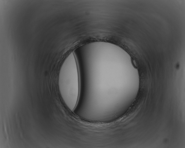 X0000097850040200803140907