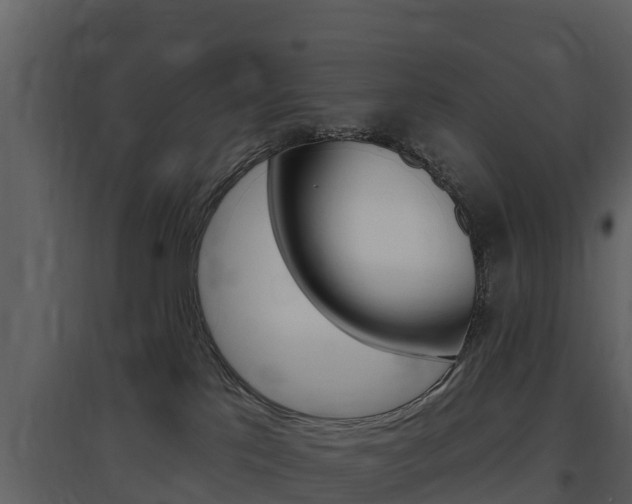 X0000097850041200803140907