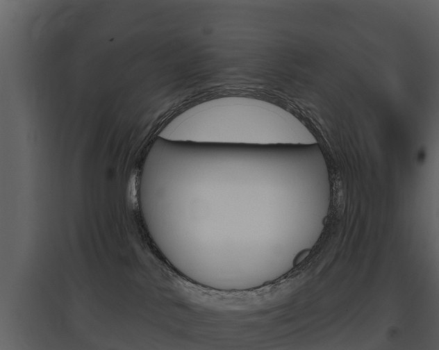 X0000097850042200803140907