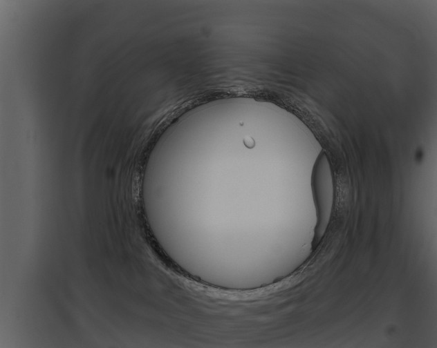 X0000097850043200803140907