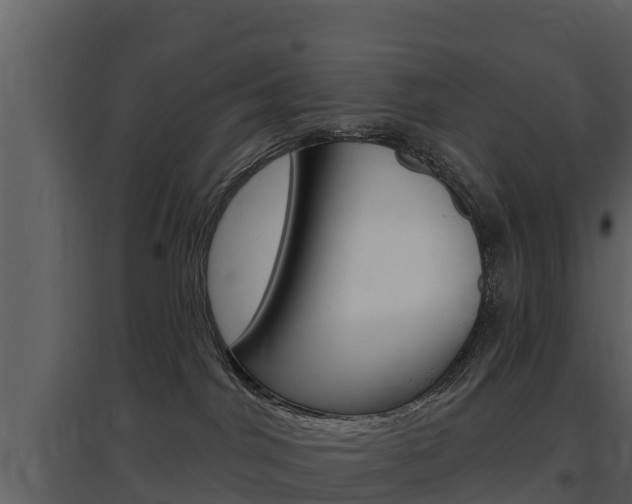 X0000097850044200803140907