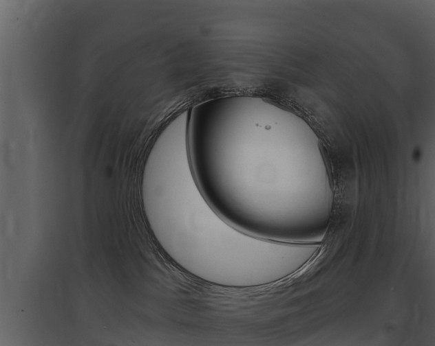 X0000097850045200803140907