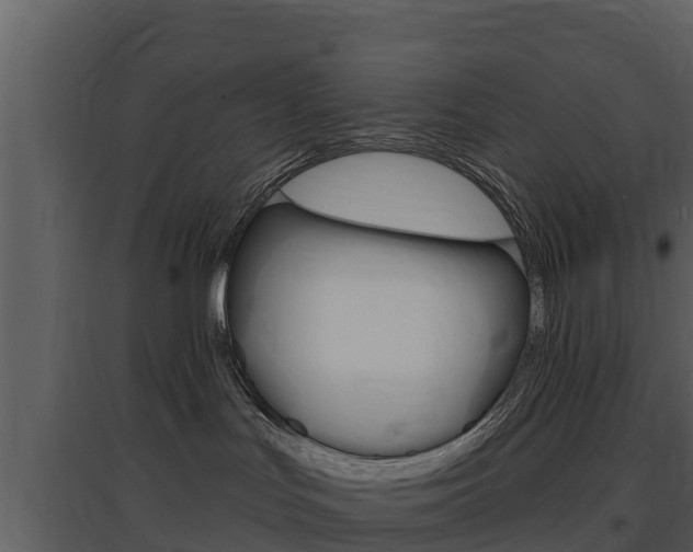 X0000097850047200803140907