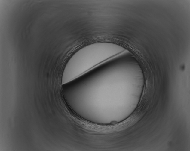 X0000097850048200803140907